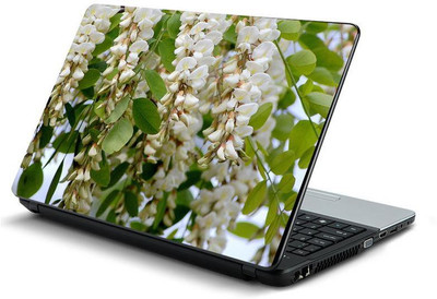 

PrintHunt MULTICOLOR-520 VINYL Laptop Decal 15.6