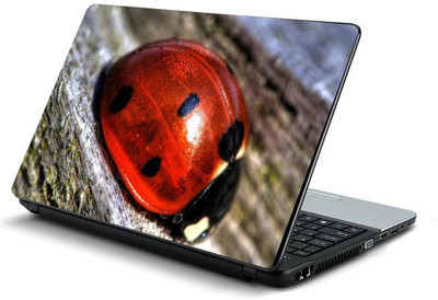 

PrintHunt MULTICOLOR-658 VINYL Laptop Decal 15.6