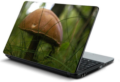

PrintHunt MULTICOLOR-237 VINYL Laptop Decal 15.6