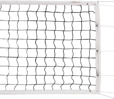 

QUINERGYS ™ Original & Branded Champion Sports Official Tournament and Olympic Sized Volleyball Net(Multicolor)