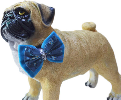 

Kitty & The Woof Gang Bow for Dog(Multicolor