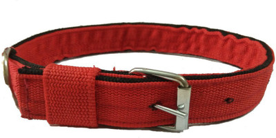 

Sollar's Dog Head Collar(, Red