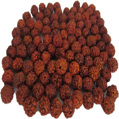 syed garden Rudraksha Seed(5 per packet)