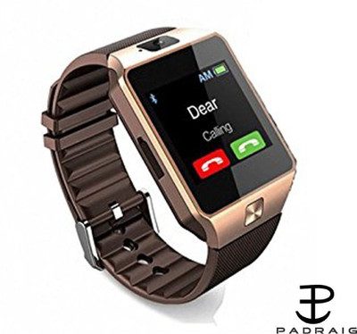 

Aquiver dz09 Brown Smartwatch(Brown Strap Regular)