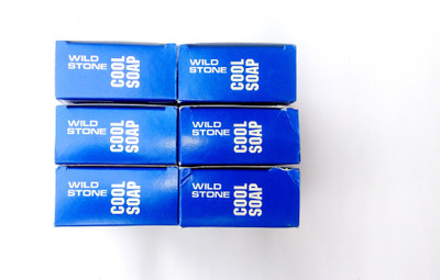 

Wild Stone COOL SOAP 125GM(125 g, Pack of 6)