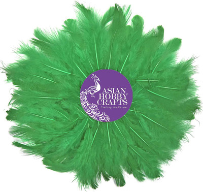 

AsianHobbyCrafts Natural Dyed Feathers, Green (80 Pieces) : Green