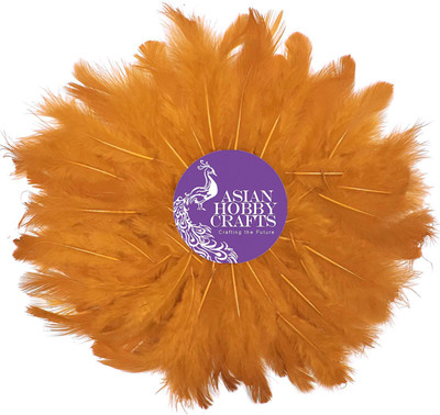 

AsianHobbyCrafts Natural Dyed Feathers, Orange (80 Pieces)