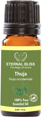 

Eternal Bliss Thuja Leaf Essential Oil, 100% Pure, & Undiluted (30ML)(30 ml)