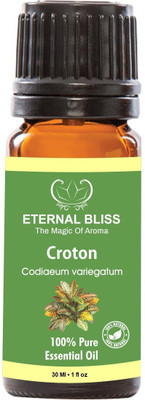 

Eternal Bliss Croton Essential Oil, 100% Pure, & Undiluted (30ML)(30 ml)