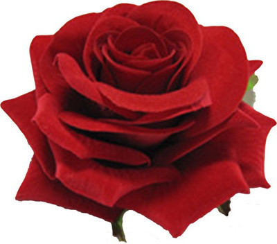 Style Tweak Red Rose Flower Hair Clip(Red)