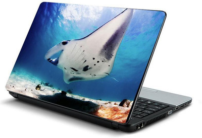 

PrintHunt MULTICOLOR-325 VINYL Laptop Decal 15.6