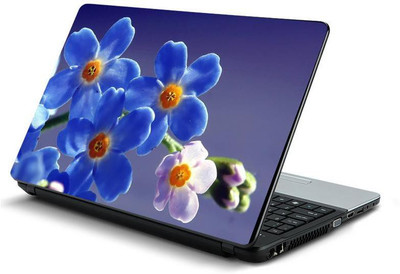 

PrintHunt MULTICOLOR-604 VINYL Laptop Decal 15.6