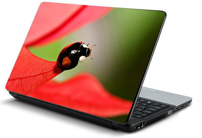 

PrintHunt MULTICOLOR-539 VINYL Laptop Decal 15.6