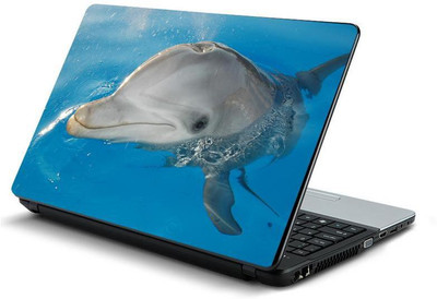 

PrintHunt MULTICOLOR-195 VINYL Laptop Decal 15.6