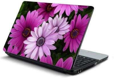 

PrintHunt MULTICOLOR-314 VINYL Laptop Decal 15.6