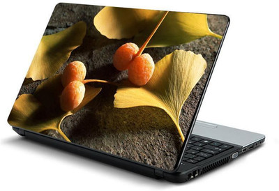 

PrintHunt MULTICOLOR-440 VINYL Laptop Decal 15.6