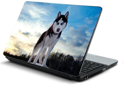 

PrintHunt MULTICOLOR-477 VINYL Laptop Decal 15.6