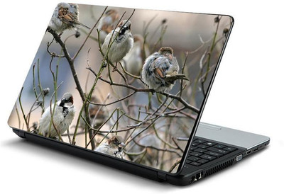 

PrintHunt MULTICOLOR-318 VINYL Laptop Decal 15.6