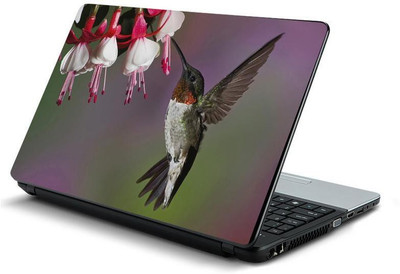 

PrintHunt MULTICOLOR-206 VINYL Laptop Decal 15.6