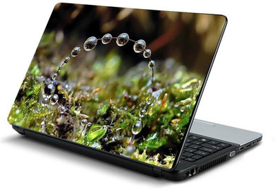 

PrintHunt MULTICOLOR-268 VINYL Laptop Decal 15.6