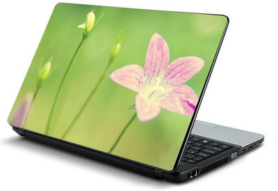 

PrintHunt MULTICOLOR-263 VINYL Laptop Decal 15.6
