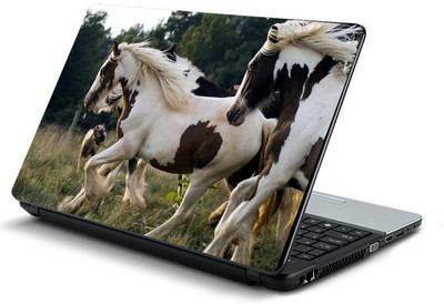 

PrintHunt MULTICOLOR-145 VINYL Laptop Decal 15.6