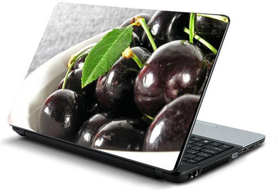

PrintHunt MULTICOLOR-659 VINYL Laptop Decal 15.6