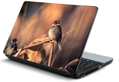 

PrintHunt MULTICOLOR-509 VINYL Laptop Decal 15.6