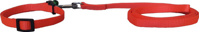 

Pet Needs High Quality Nylon Leash With Collar Set For Puppy -1 CM 114 cm Dog Strap Leash(Orange)