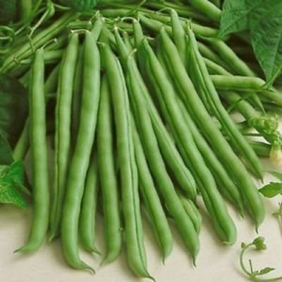 NeLeSa Gardening Pole Bean Seed(20 per packet)