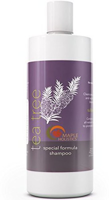 

Maple Holistics Pure Tea Tree Oil Shampoo for Dandruff Jojoba Rosemary Argan Oil Itchy Scalp Best Selling Sulfate Free Natural Hair Care for Oily Greasy Flaky Hair Scalp Therapy Color Safe Treatment Soft Shiny Hair(320 ml)