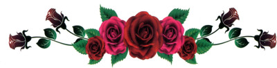 

smilendeal Smilendeal_T2562 Roses Temp Body Tattoo(Roses)