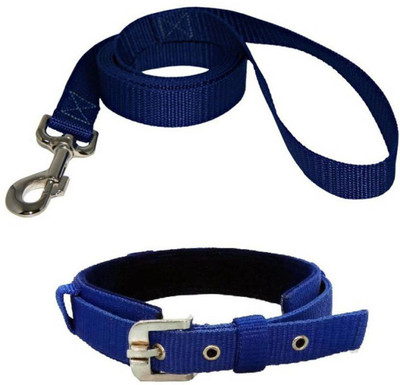 

Skora Perfect for Daily Training Walking Running Dog Collar & Leash(, Blue