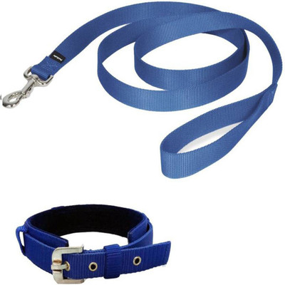 

Skora Perfect for Daily Training Walking Running Dog Collar & Leash(, Blue
