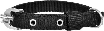 

Pride Infinite Dog Everyday Collar(Large, Black)