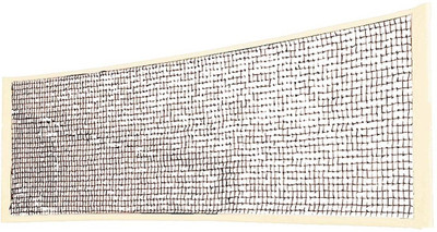 

QUINERGYS ™ Long Lasting Badminton Net for Professionals Court Badminton Net(Multicolor)