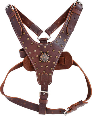 

petstar Dog Buckle Harness(, Brown