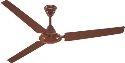Inalsa Astir (Brown) 3 Blade Ceiling Fan(Brown, Pack of 1)