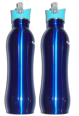 

CAPRIKA FLORAL 350 Sipper(Pack of 2, Silver)