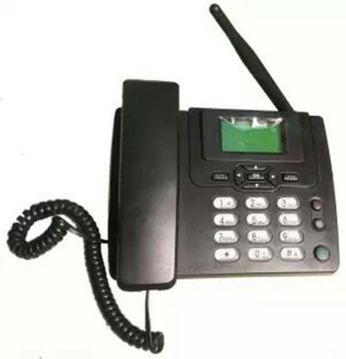 

Un Branded GSM FWP Cordless Landline Phone(Black)