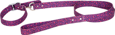 

petstar Dog Collar & Leash(, Multi
