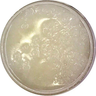 

ADVAIT ABEER ORGANIC LIP SCRUB 40GMS (JASMINE) Scrub(40 g)
