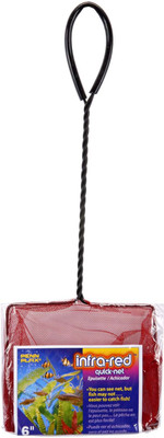 

Penn-Plax QNR6 Aquarium Fish Net(13 cm x 15 cm)