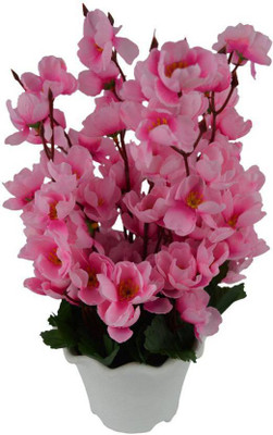 

paradise para-flw-43 Pink Magnolia Artificial Flower with Pot(12 inch, Pack of 1)