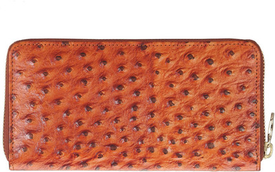 

Adamis Casual Orange Clutch