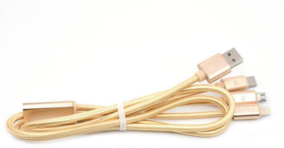 

Taslar TE3PTCC USB Type C Cable(All Phones With Type C port, Gold, Sync and Charge Cable)