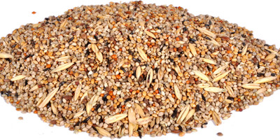 

Pet Care love birds seed mix 11 types of seed mix Nuts 500 g Dry Bird Food
