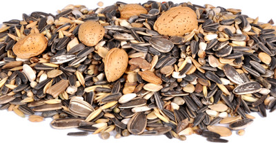 

Pet Care Big parrot food containing 16 types of seeds for cockatoo,macaw,conurs,parrots,cocktails and other big birds Nuts 500 g Dry Bird Food
