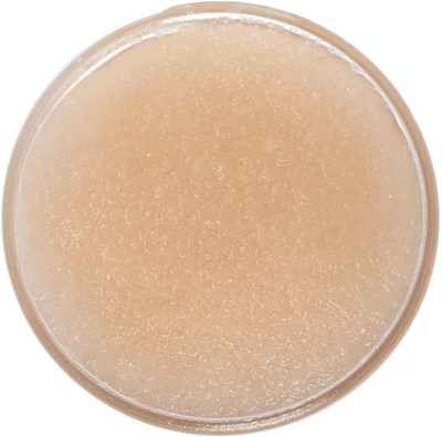 

ADVAIT ABEER ORGANIC LIP SCRUB 40GMS (GINGER LEMON) Scrub(40 g)