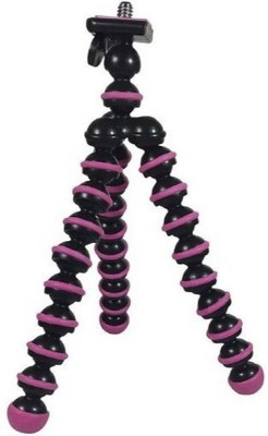

Landmark FSF_498F Tripod(Multicolor, Supports Up to 1500 g)